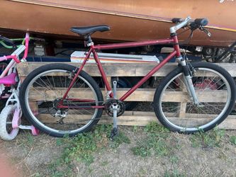 Schwinn Road Street Bike