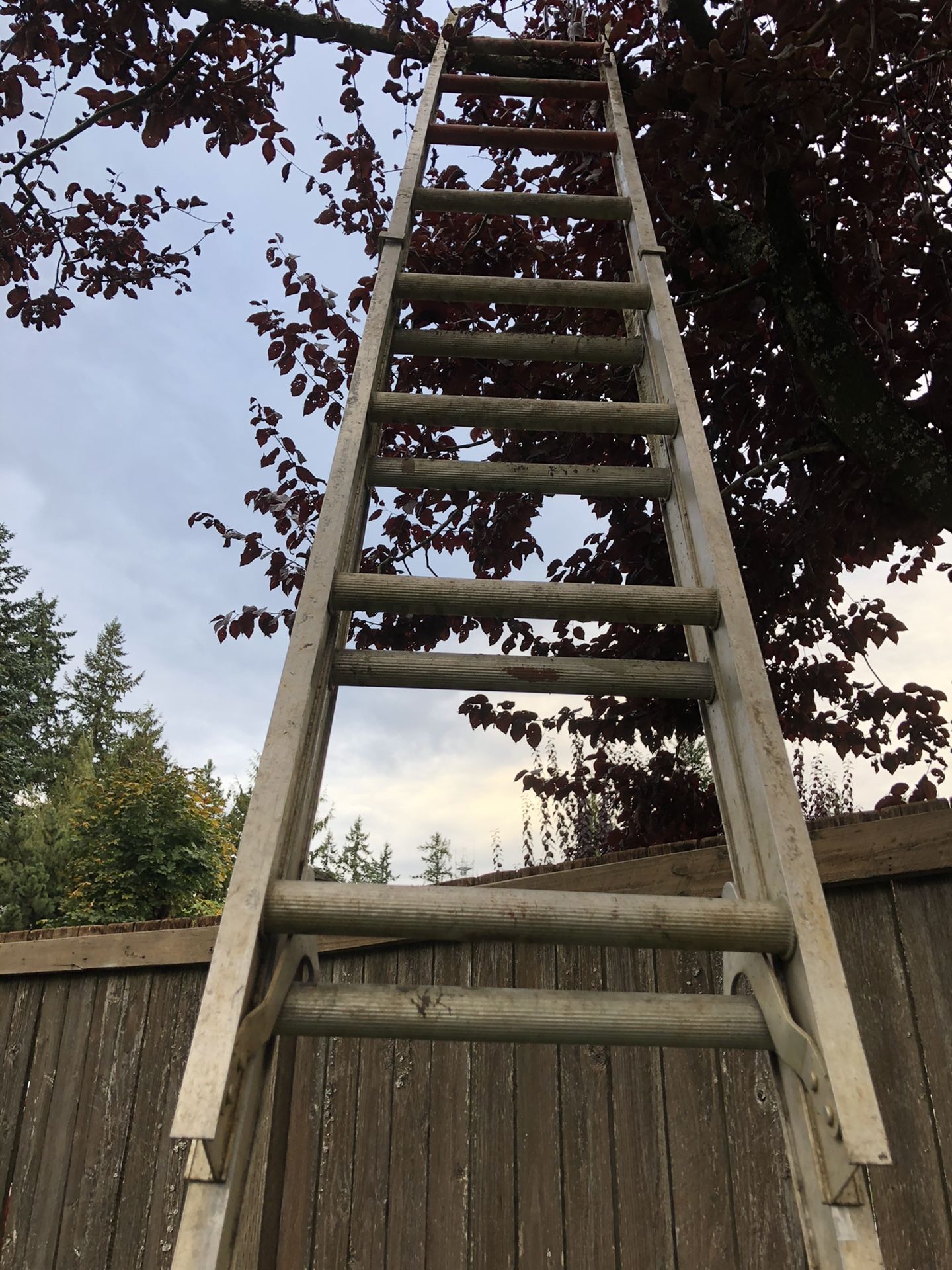 Sears “old school” ladder