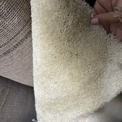 Beige Carpet
