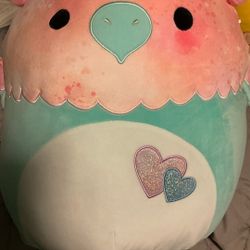 Squishmallow 