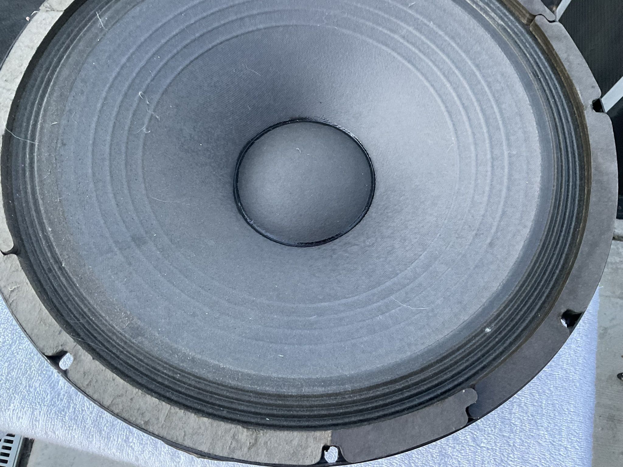 15” Base Speaker Came Out Of A Lab Series 6 Base Amp
