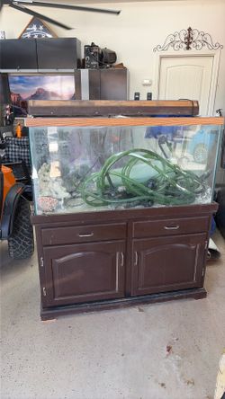 75 gallon salt water Fishtank with 3 350 gallon per minute pumps