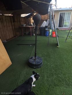 Punching bag