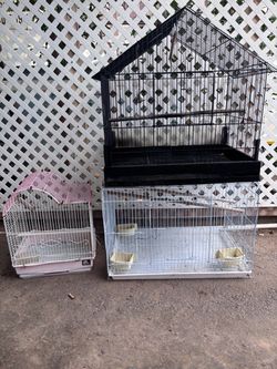 Bird Cages