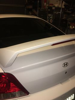 Tiburon wing
