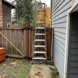 10’ Ladder