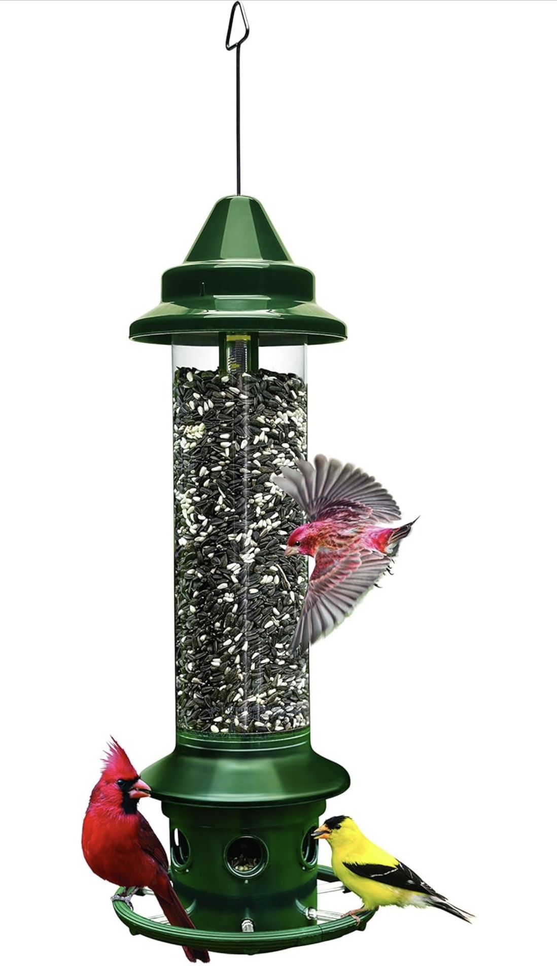 Bird Feeder