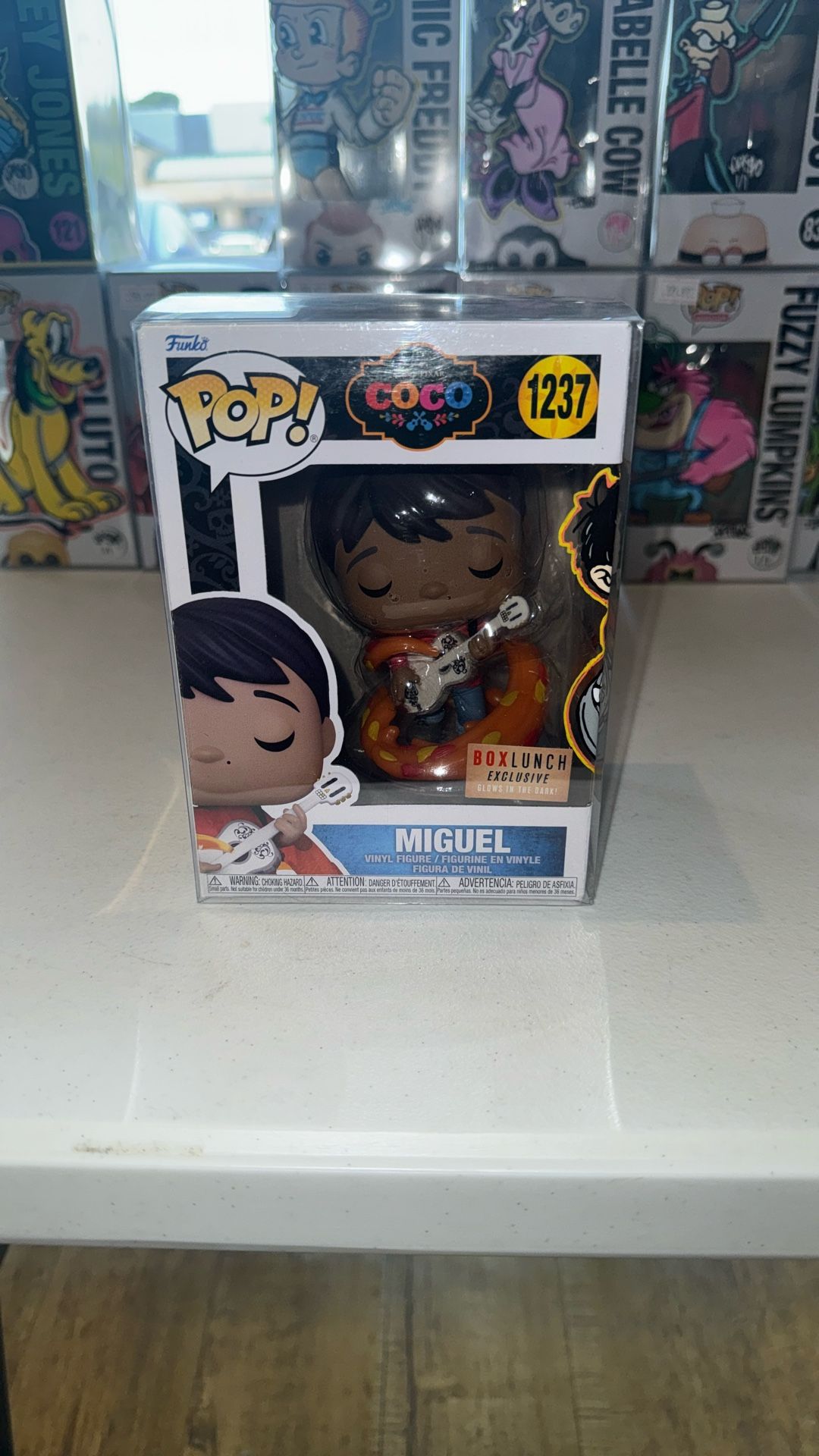 Miguel From Coco 