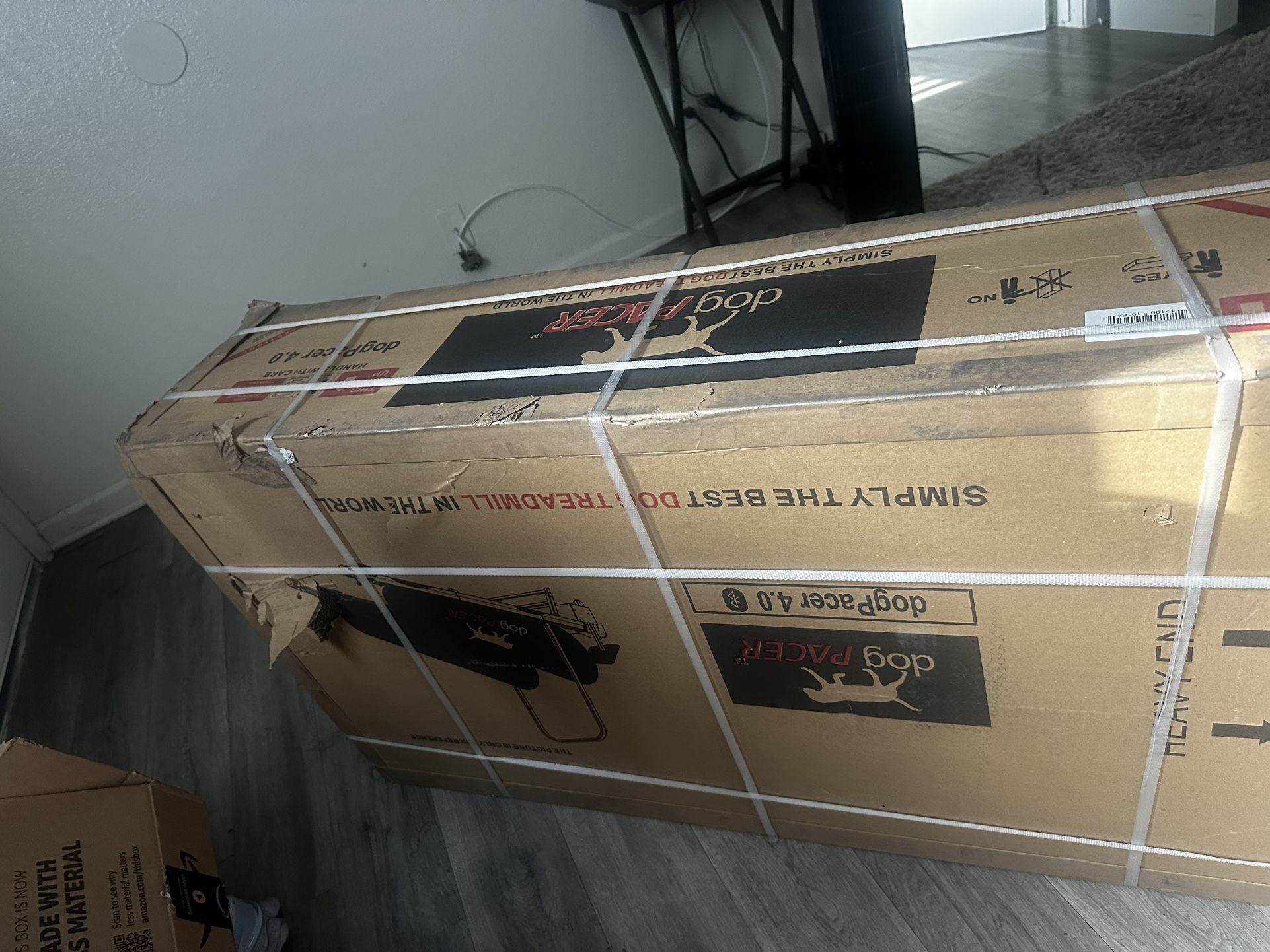 Dog Pacer Treadmill 4.0 Brand New