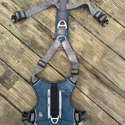 Large Dog Collars and Harness 