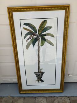 Montaro Elegant Art Framed Banana Plant Print. 46H 27W