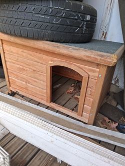 Animal Enclosure