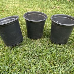 Pottery: 1 Gallon Gardening Plastic Containers