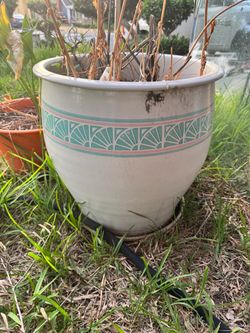 Large Ceramic Outdoor Planter Pot