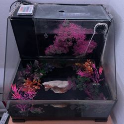 AquaTerrium Fish Tank
