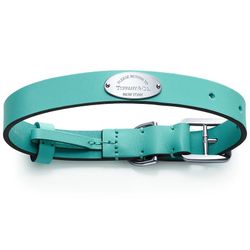Tiffany & Co. Dog Collar