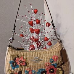 Brand New Authentic Coach Bag W/ Matching Wallet