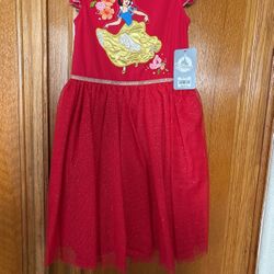 Princess Dress Size  5/6