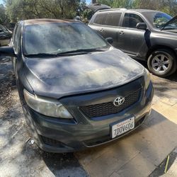 Toyota Corolla 2009 (Selling Parts Only)