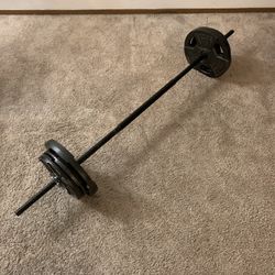 Barbell + Weight Plates: Total 100 Pounds 