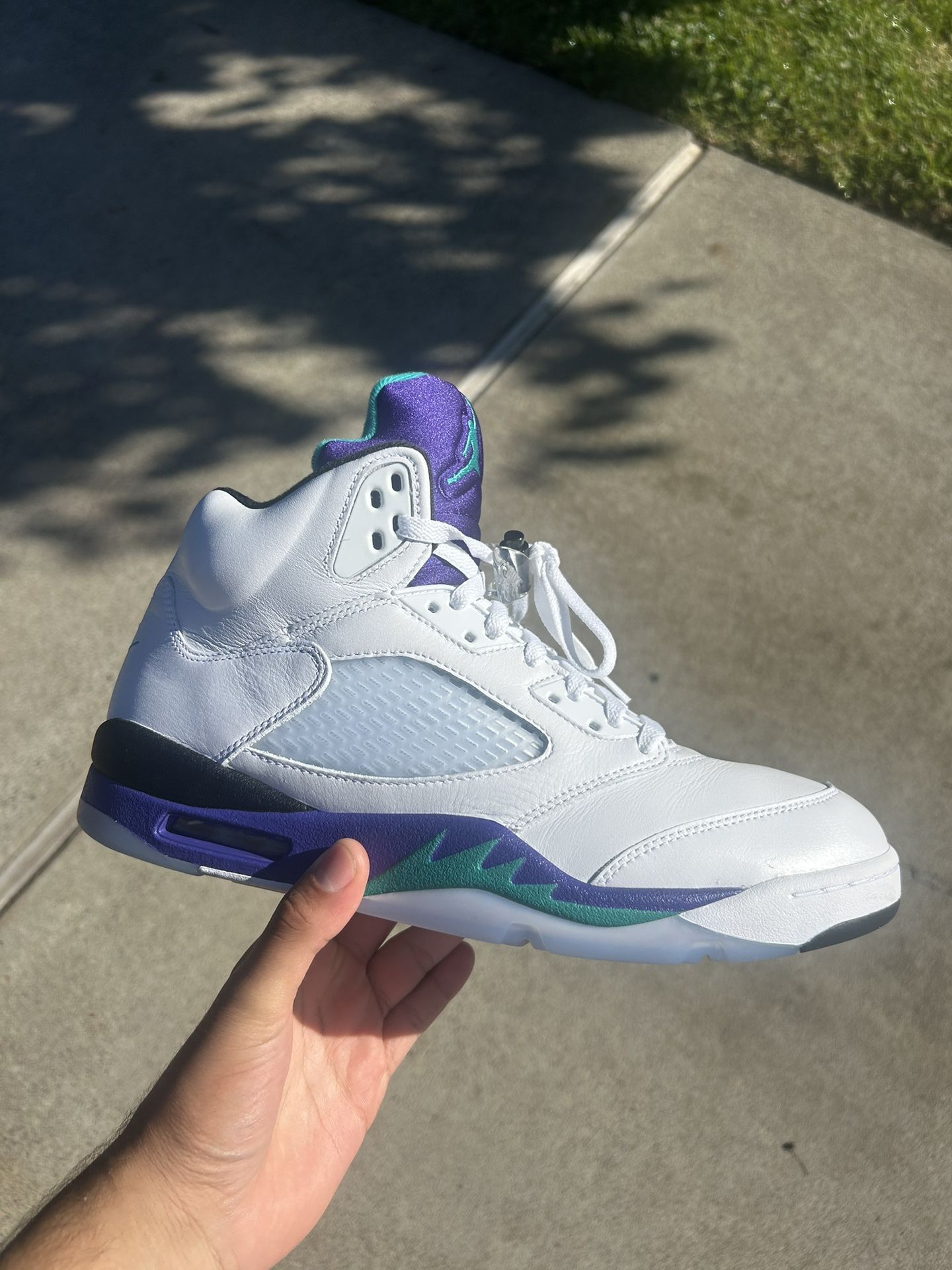 Jordan 5 Grape