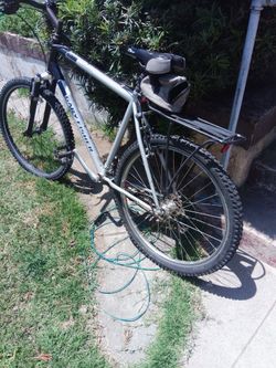 Gary Fishche Mamba Mt Bike