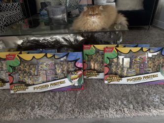 Pokemon Ascended Heroes Focused Fighters Box (Sam’s exclusive)