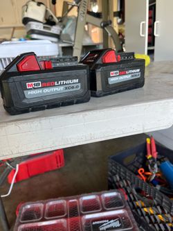 Milwaukee 6.0 batteries