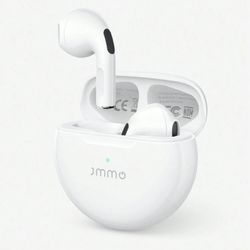 WIRELESS EARBUDS/AURICULARES