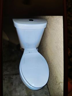 Glacier Bay toilet