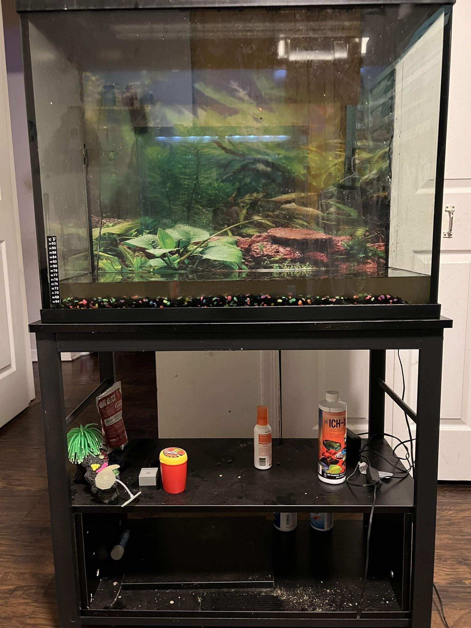 40 Gal Fish Tank