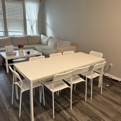 Extendable Dining Table + 8 chairs