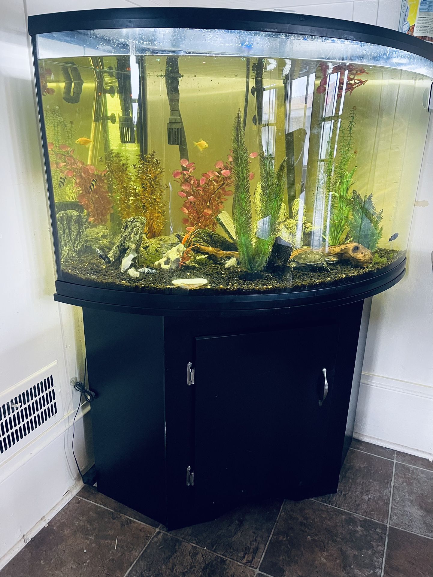 50 Gallon Aquarium Tank