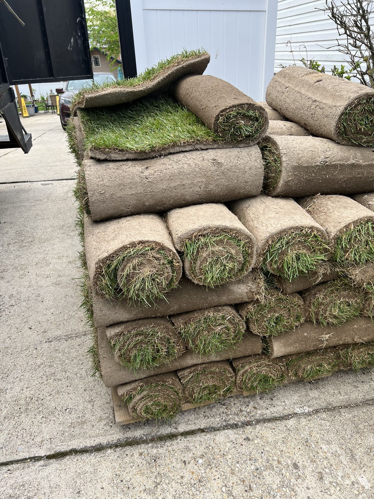 Fresh Sod