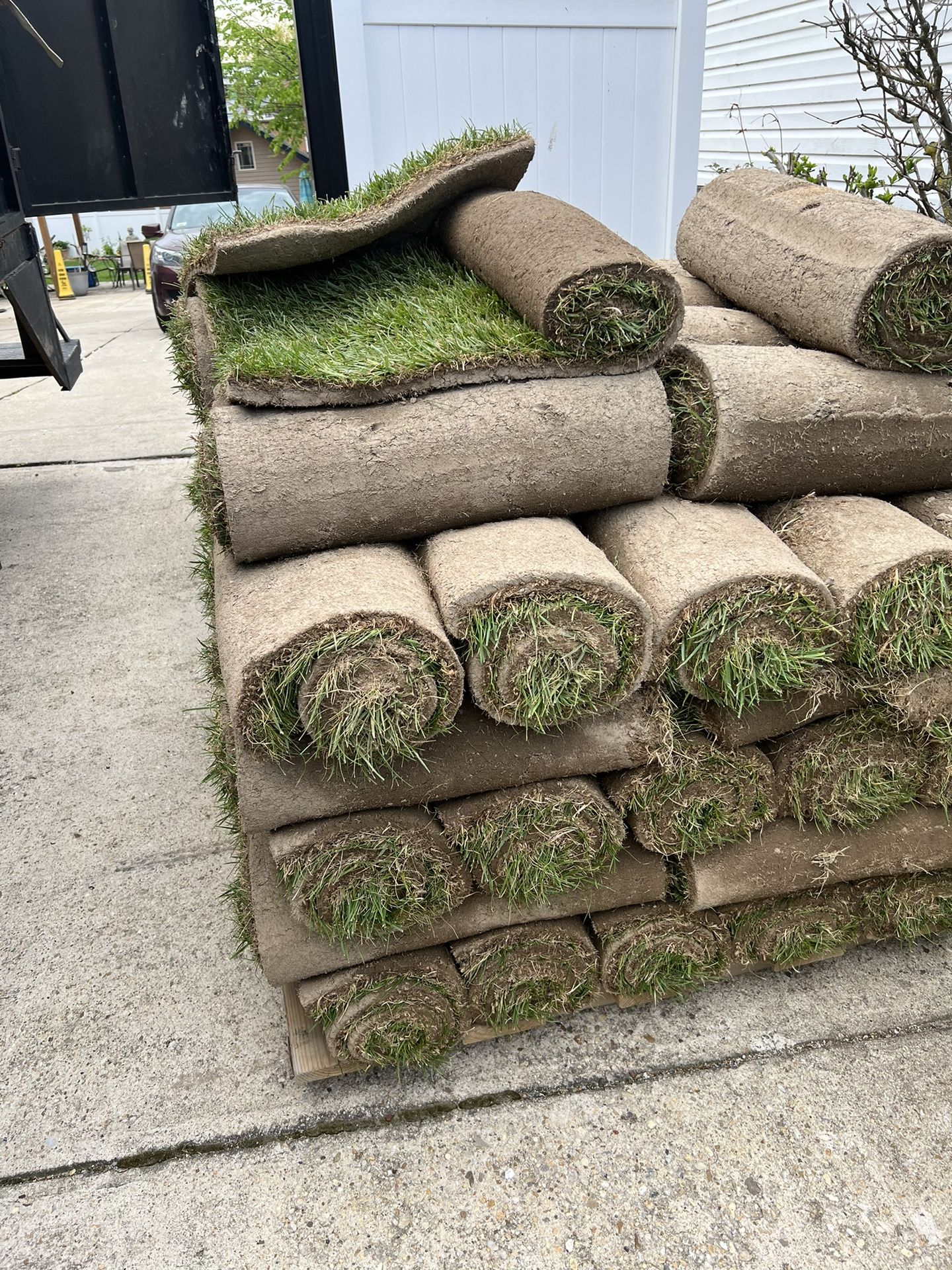 Fresh Sod 