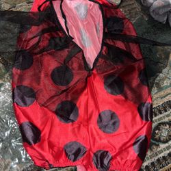 lady bug
