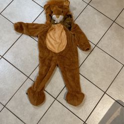 Lion Costume 