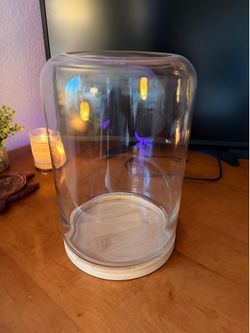 Glass terrarium