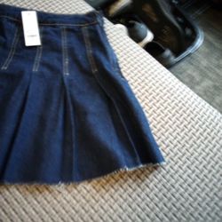 Francesca's Pleated Jean Skirt 