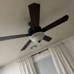 Fan