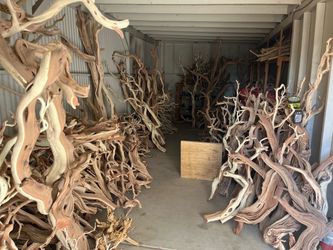 Exotic Wood pieces: Manzanita, Grapewood, Cholla, Dragon wood Etc.