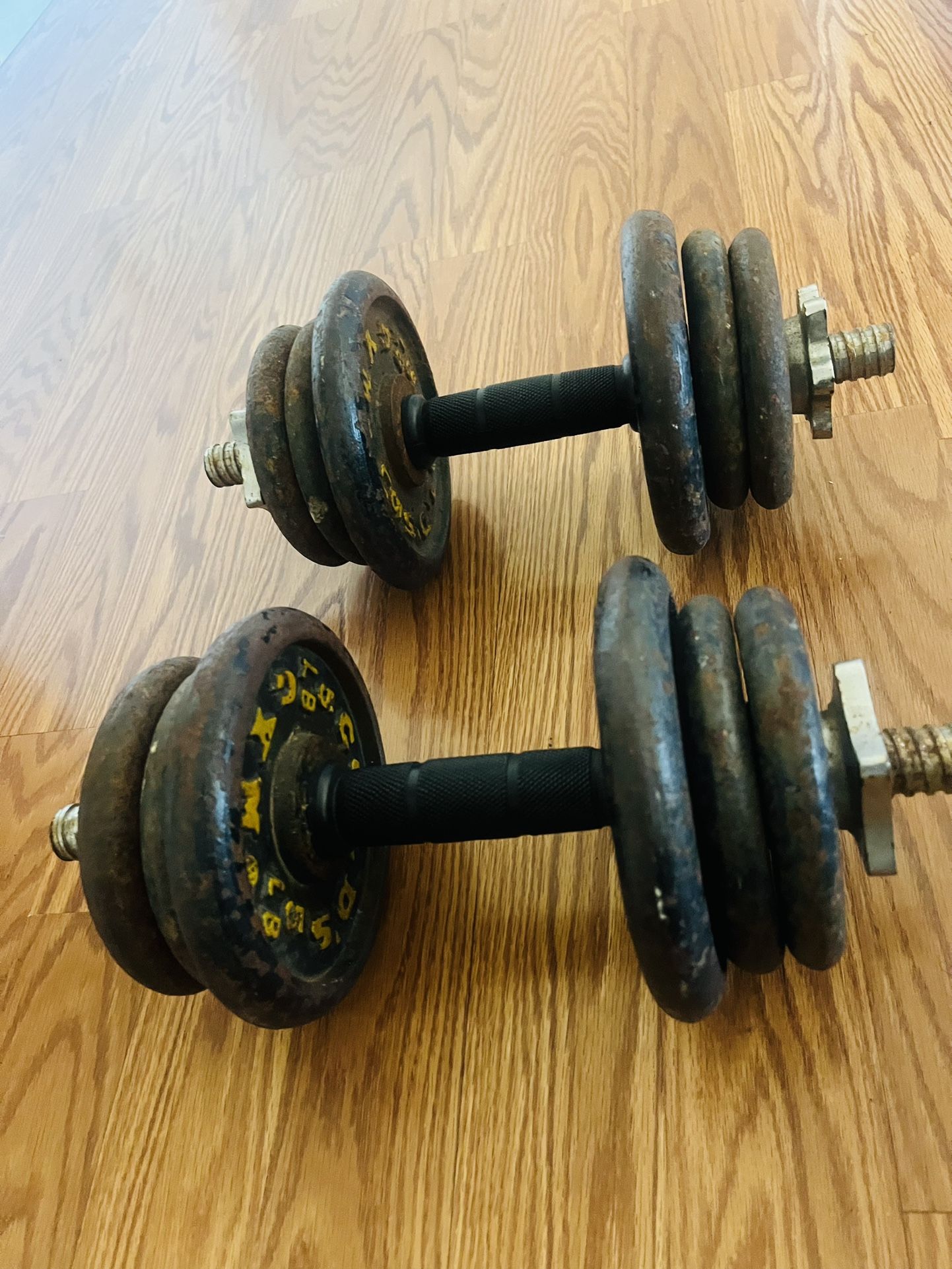 44 Lbs Dumbbells Gold’s Gym