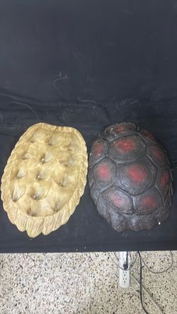 Decorative wall-mounted turtle shell