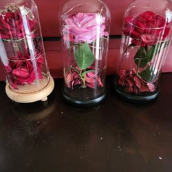 Beautiful Flowers With Light/Hermosas Flores Artificiales Con Luz