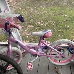 16” Princess Bike 