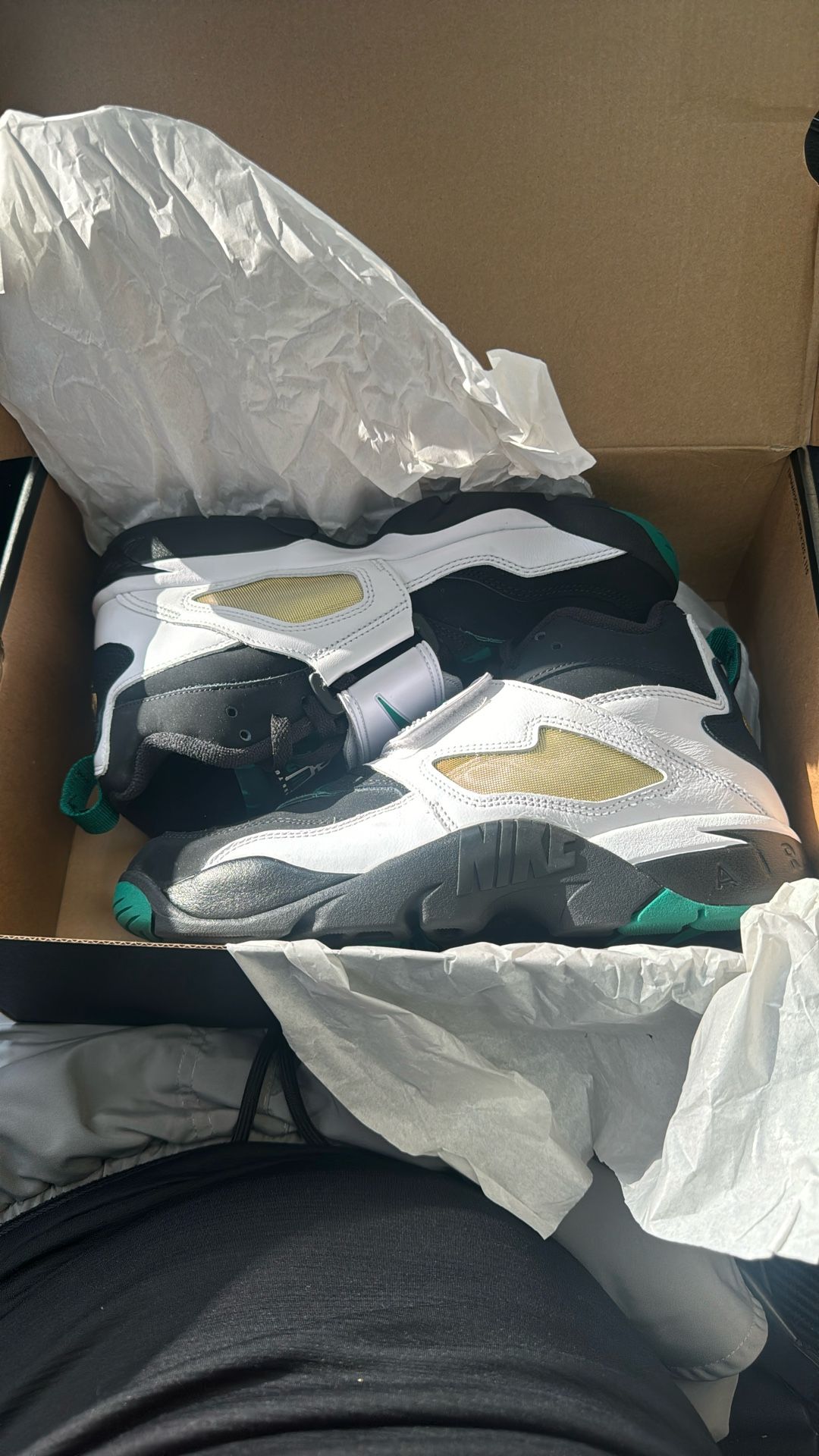 Nike Diamond Turf Dion’s 