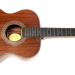 Bristol BM-15 Acoustic Guitar