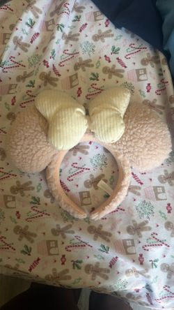 Tokyo Disney ears