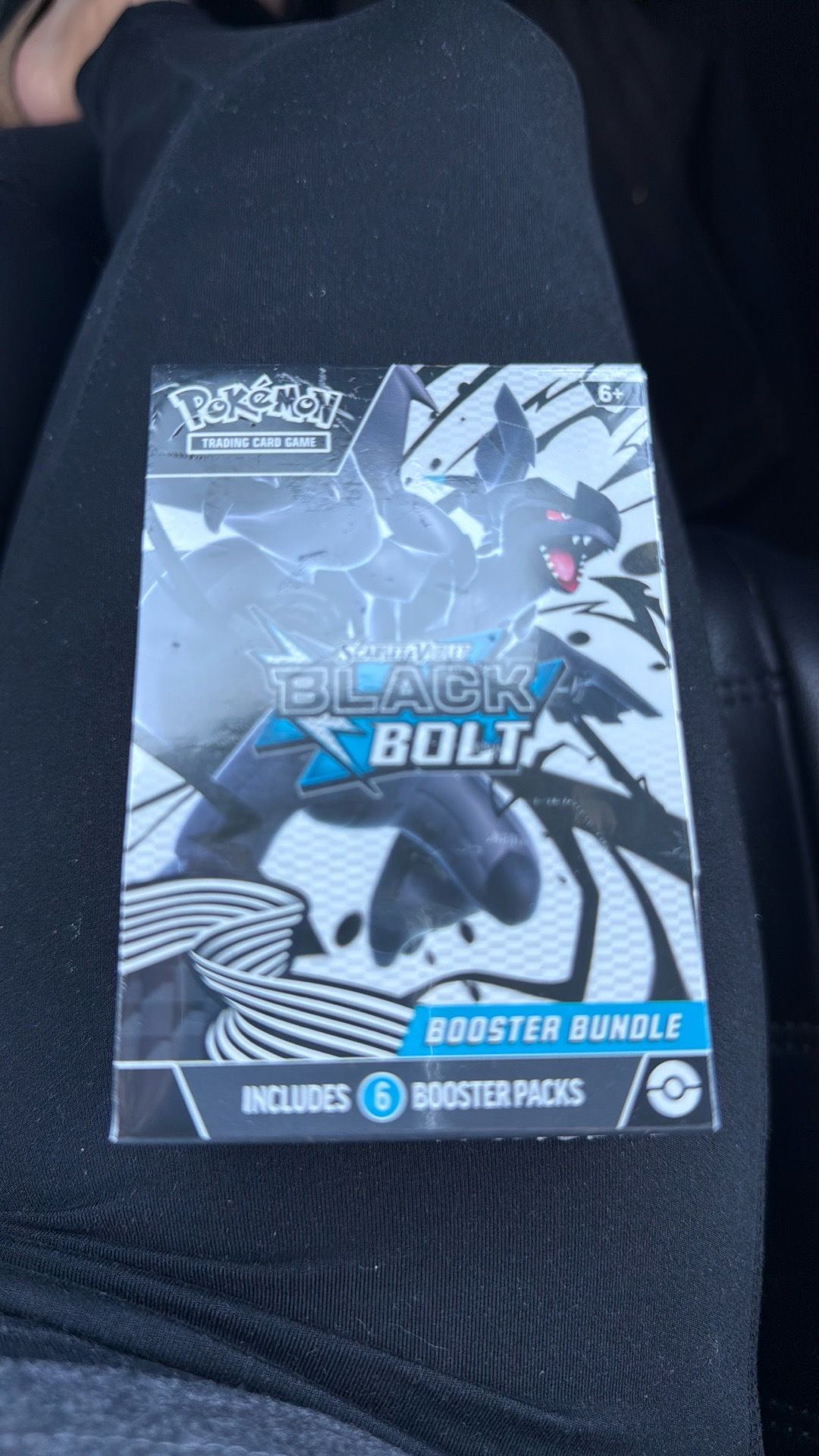 Pokemon Scarlet & Violet Black Bolt