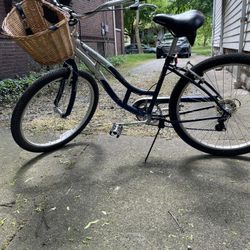 Schwinn Bicycle